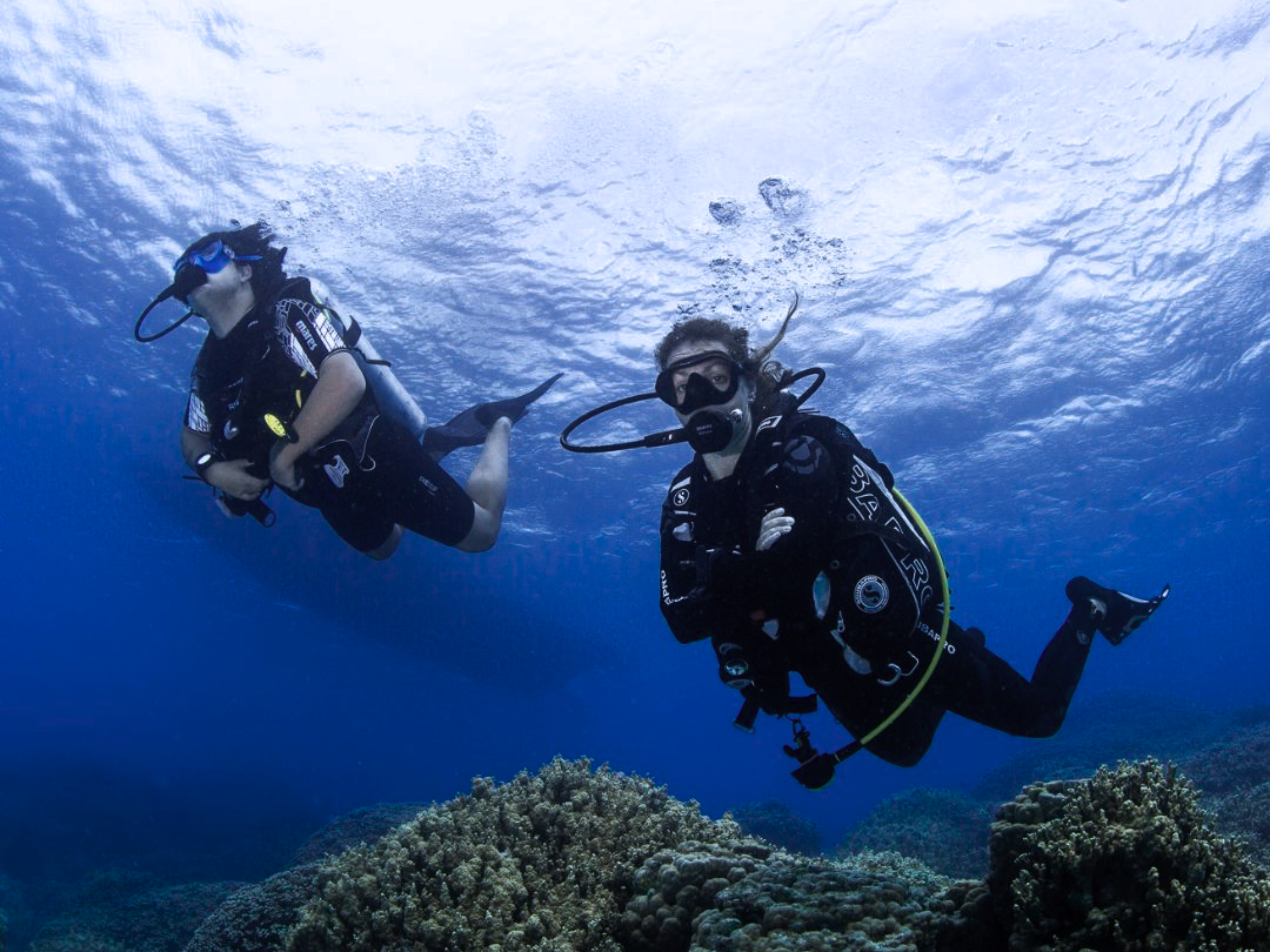 PADI Open Water Dive Course