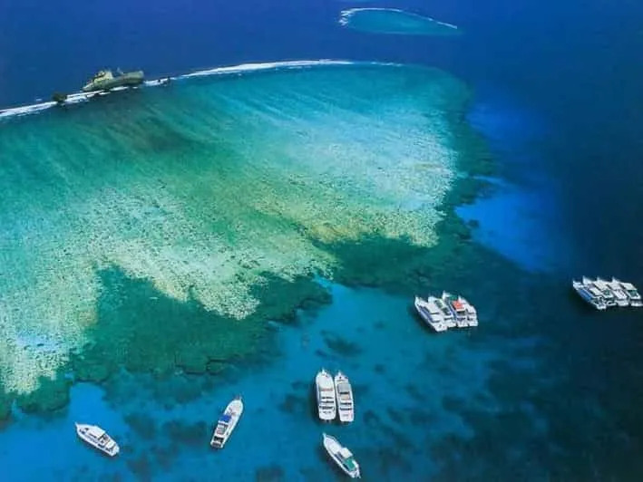 Tiran Island: Top Red Sea Diving & Snorkeling