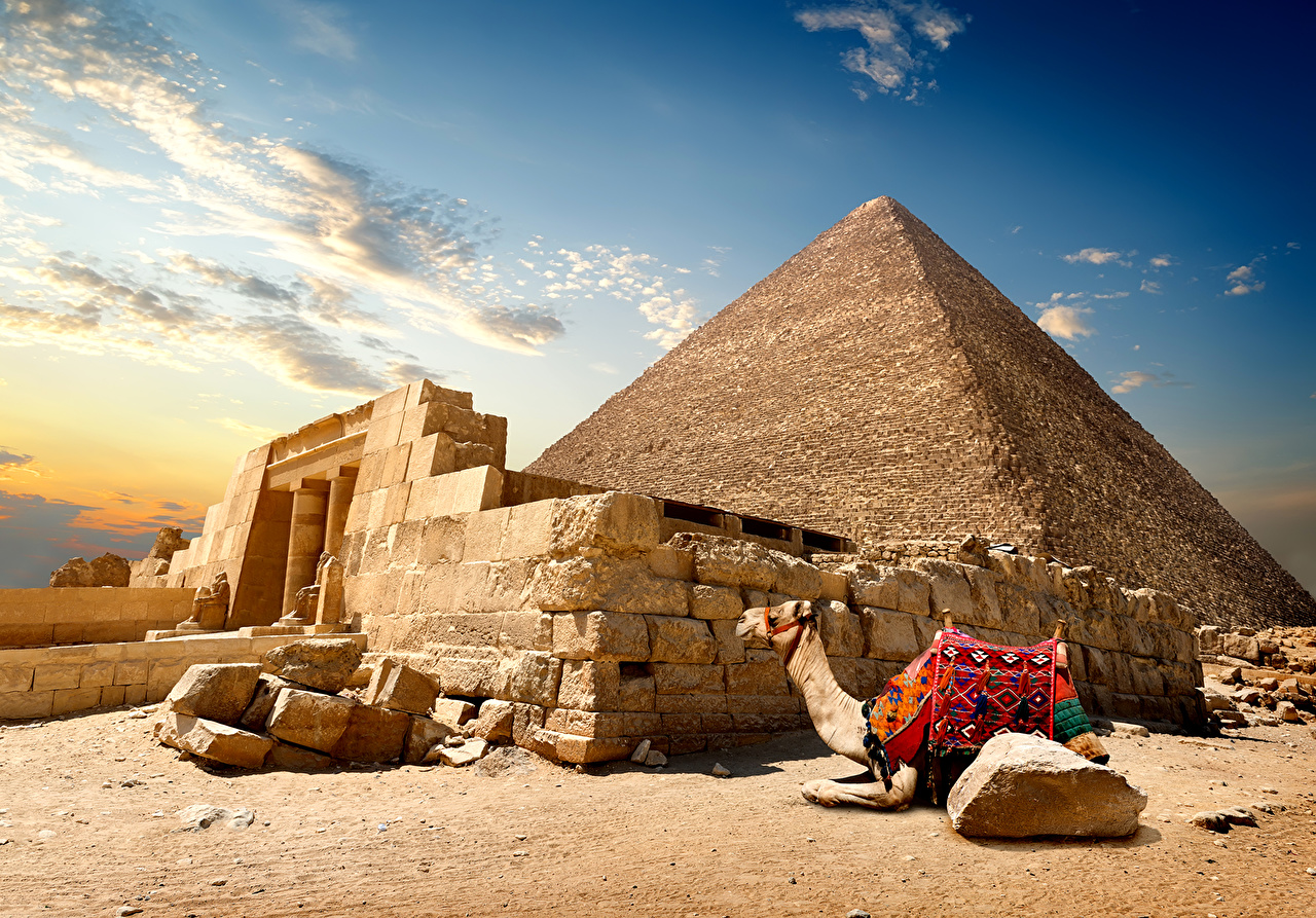 Day Tour From Alexandria Port To Cairo And Pyramids